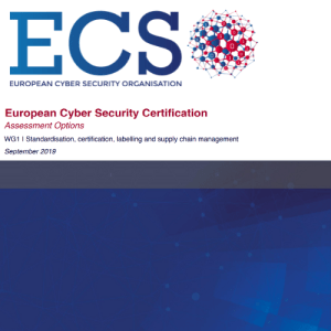 European Cyber Security Certification: Assessment Options