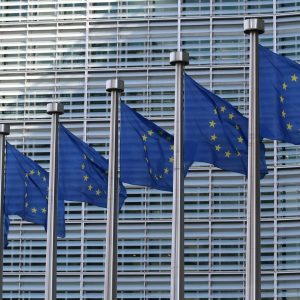 An image of European Union flags in a row.