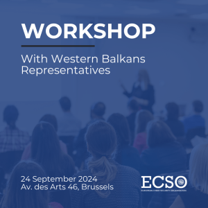 Workshop with Western Balkans Representatives